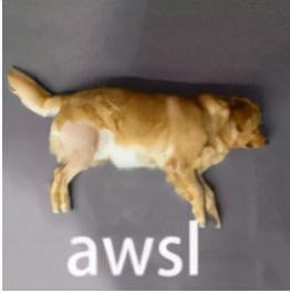 ca是美国哪个城市的缩写，ca是美国哪个州缩写（只有留学生才能看懂的“神秘代码”）