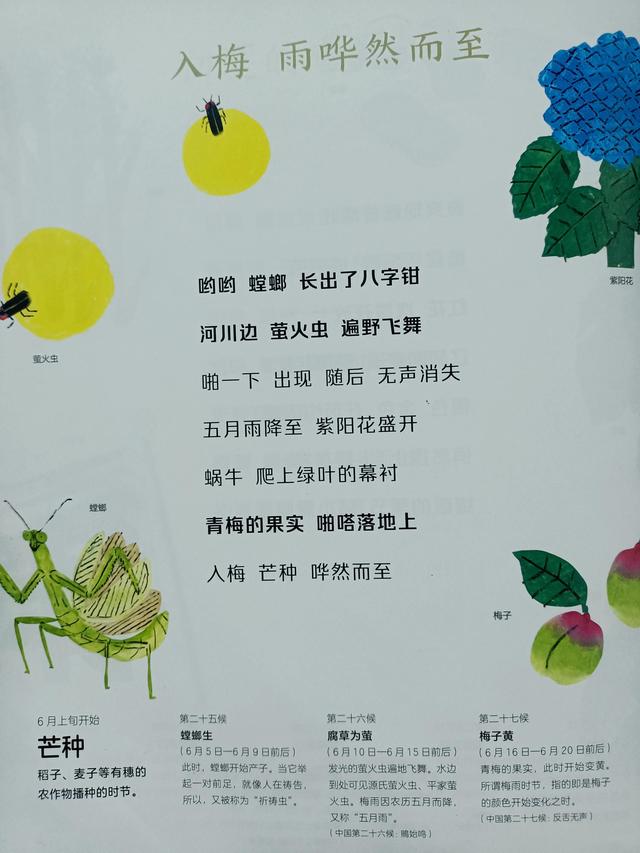 四季是按什么划分的，四季是如何划分（一年四季二十四节气）