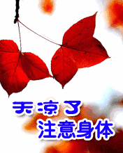 早安是什么意思，一个女生发早安早安是什么意思（清晨早安动图问候语）