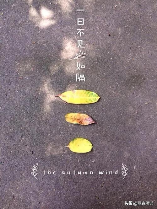 如隔三秋上一句,如隔三秋上一句成语是什么(藏头打油小诗/一日不见如隔三秋) 如隔三秋上一句,如隔三秋上一句成语是什么(藏头打油小诗/一日不见如隔三秋)