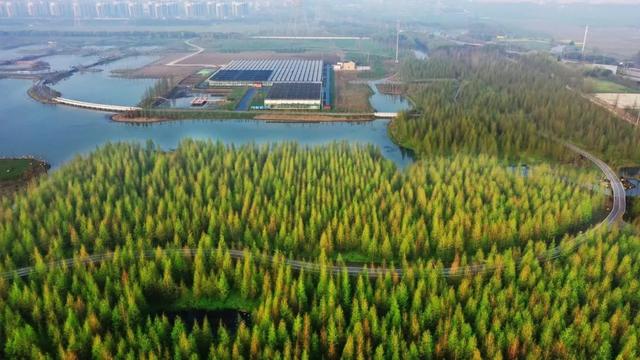 太仓同城游，太仓同城游戏大厅官方下载手机版（谋定“江南文化”的太仓席位）