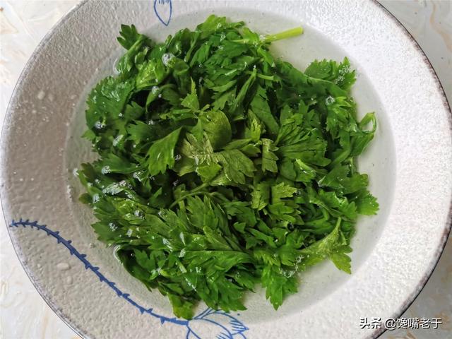 用芹菜叶做咸菜的简单方法，芹菜叶能做咸菜吗（我家此菜叶子从不扔）