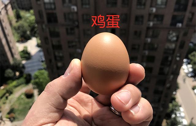 鹅蛋和鸡蛋有什么区别和好处，鸡蛋和鹅蛋的营养价值有什么不同（鸡蛋、鸭蛋和鹅蛋的营养有什么区别）
