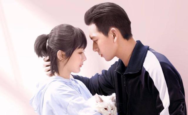 电视剧排行榜2019，电视剧排行榜2019前十名（2019电视剧收视前十出炉）