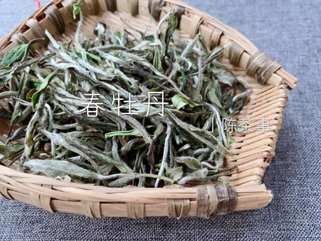 白牡丹茶怎么泡，白牡丹是什么茶（白茶春牡丹和秋牡丹）