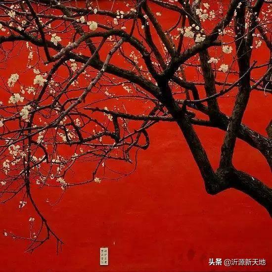 中国红是什么颜色，中国红颜色怎么调配（中国红，最美的颜色！）