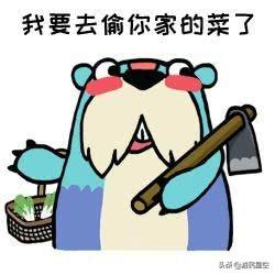 四毛和八毛，微信头像，四毛和八毛的快乐时光（我在游戏里和别人斗了一个小时的图）