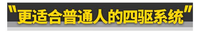 坦克300是什么车，坦克300是什么牌子的车（它才是适合更多人的坦克300......）