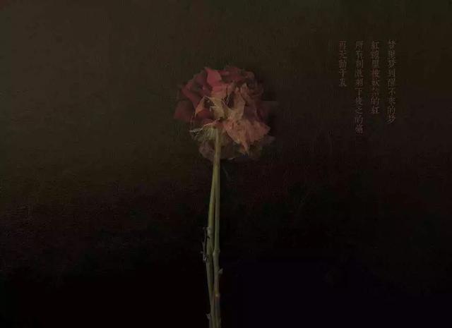 陈奕迅红玫瑰歌词，《红玫瑰》陈奕迅的每一首歌都是一种回忆的沉淀
