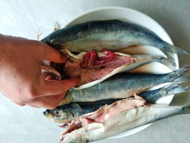 罐头茄汁鲭鱼怎么调汁,风味茄汁鲭鱼罐头(市场上这种海鱼遇到别错过)