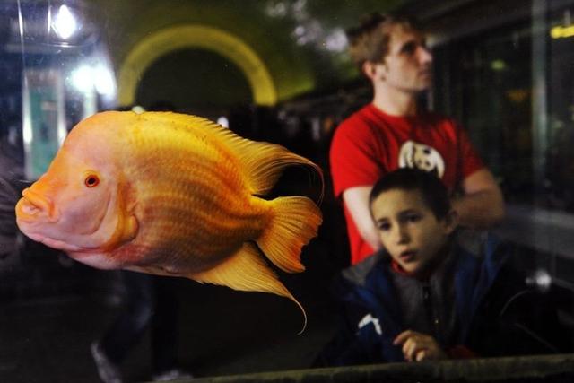 护照号码是几位，护照号码几位数（其实不是针孔摄像头偷拍）