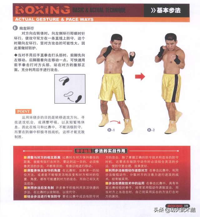 拳击实战动作训练，准备活动与实战姿势、基本步法