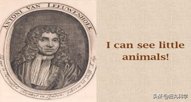 列文虎克是什么梗，你是列文虎克吗（为什么眼神好的人都叫列文虎克）