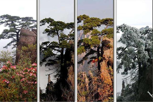 高级感风景图，高级感风景图片黑（让你的照片不再单调）