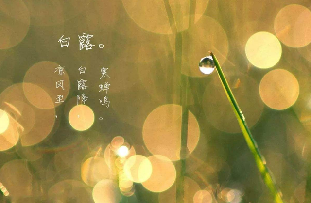 百岁无忧.，微信头像，百岁无忧.（十五首白露诗词）