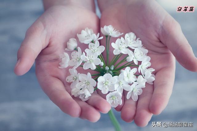 最讨人喜欢的星座女，最讨人喜欢的星座女男神最喜欢的星座女谁是第一名（最讨人喜欢的四大星座女）