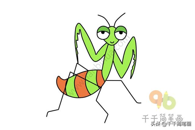 蚂蚁是不是昆虫，蚂蚁属于昆虫吗还是属于什么（儿童简笔画昆虫合集）