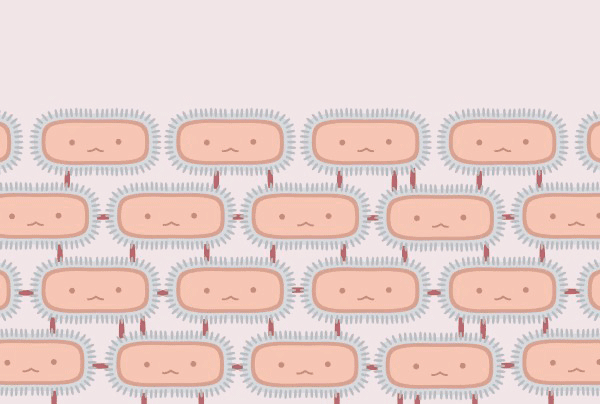 做表格教程基本操作电脑，EXCEL表格入门基础教程（购买小刺猬科普丛书获益更多哦）