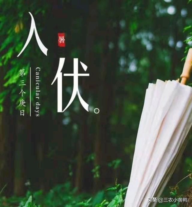 庚时是几点到几点，庚戌时是几点到几点（“夏至三庚数头伏”）