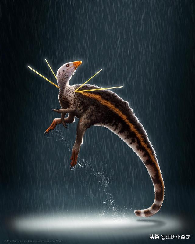 re网名的含义，Re微信昵称（2020古生物学家到底命名了多少种恐龙）