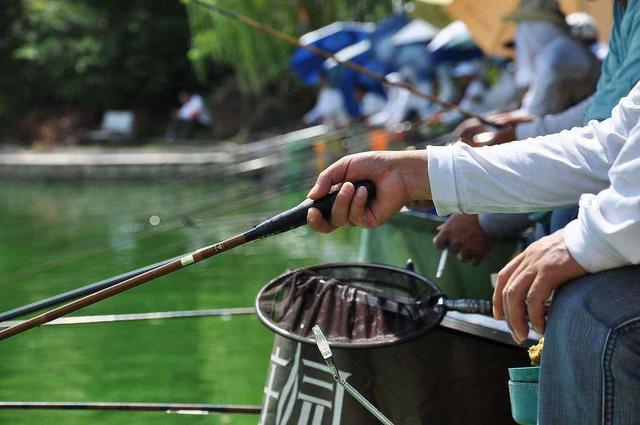 钓鲫鱼用什么钩，钓鲫鱼用什么鱼钩比较好（用几号钩才能中鱼多）