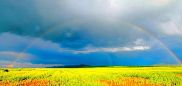油菜花开的唯美句子有哪些，油菜花开的唯美句子有哪些三年级（金色耀眼，如绚烂花毡）