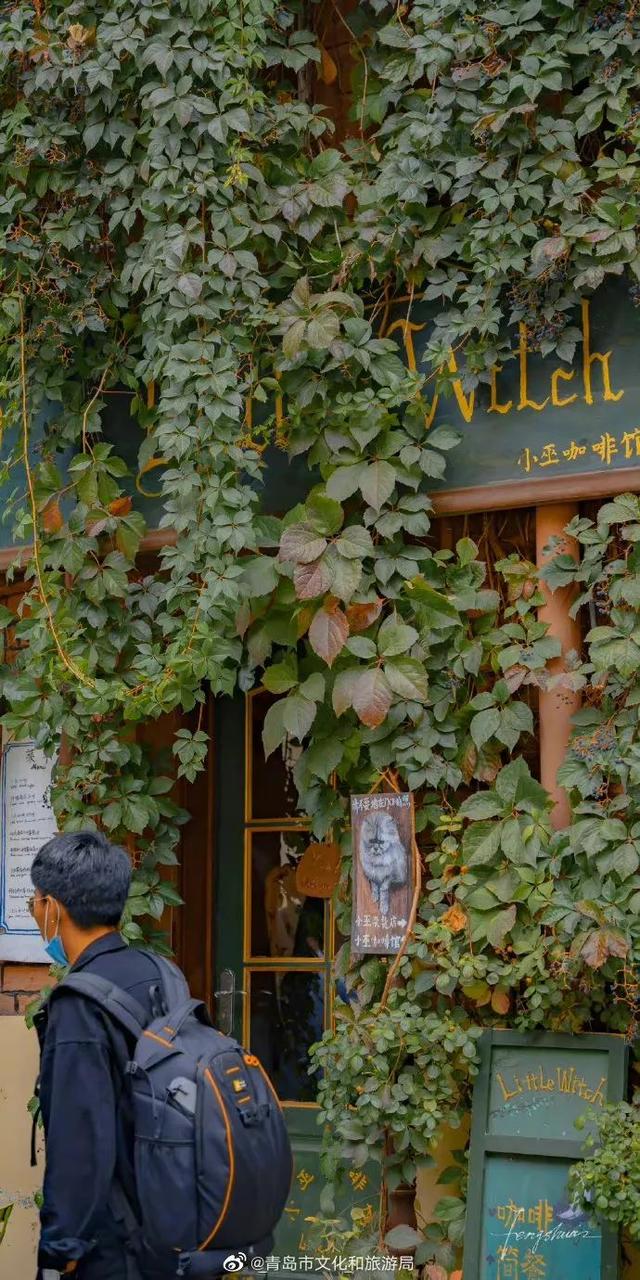 青岛美食的青岛美食有哪些，青岛最好吃的美食是什么（来，battle）