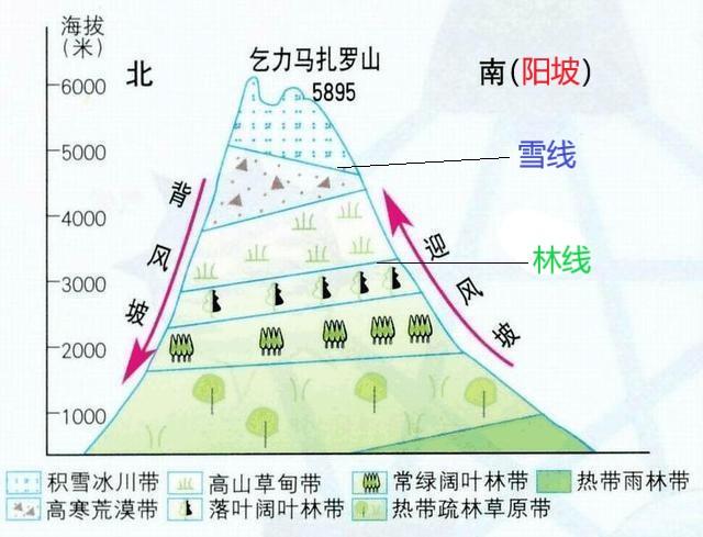 阳坡阴坡怎么判断，怎么看出是阳坡还是阴坡（<我国的光照、阳坡、阴坡>）