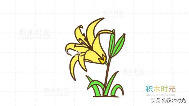 百合花的简笔画，如何画漂亮的简笔百合花（百合花简笔画教程）