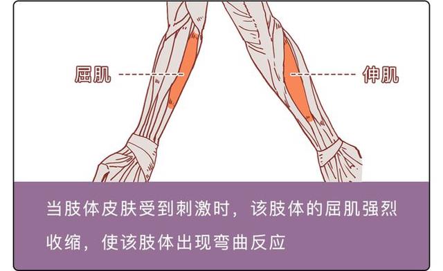 遗体火化痛苦吗，冰葬一个人多少钱（遗体火化时可能会坐起或尖叫）