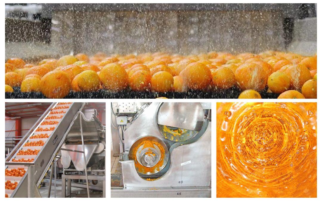 精油如何萃取视频(精油最好的提取方法)-娱宸网