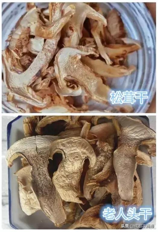 松茸跟松茸菇区别图，到底谁是真松茸