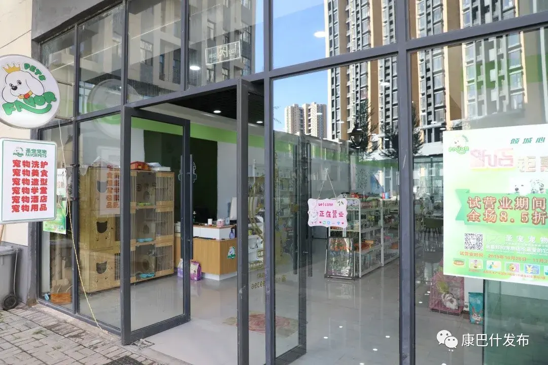 圣宠宠物店(附近哪有宠物市场)