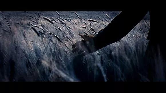 什么好看的电影，全球公认最好看的十大电影（世界上最好看的20部电影）