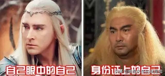 拍身份证照片要求，身份证照片有什么要求（身份证照可自拍是不是真的）