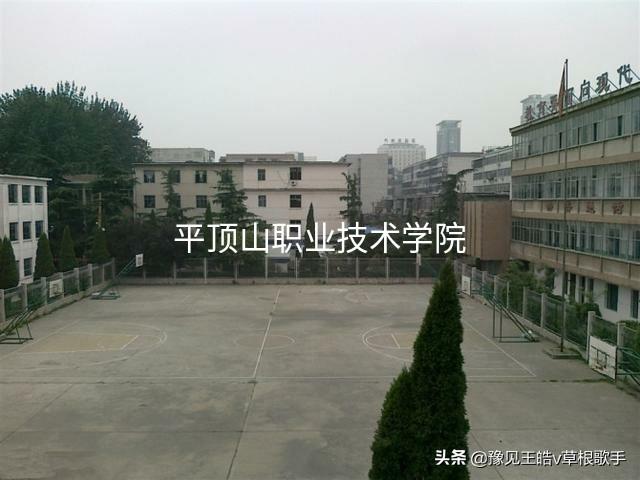 平顶山市大学排名名单是什么，平顶学院排名（最新平顶山市7所大学排名分析）