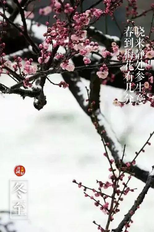 关于冬至的古诗，描写冬至的优美诗句古诗（邂逅最美的冬至诗词）