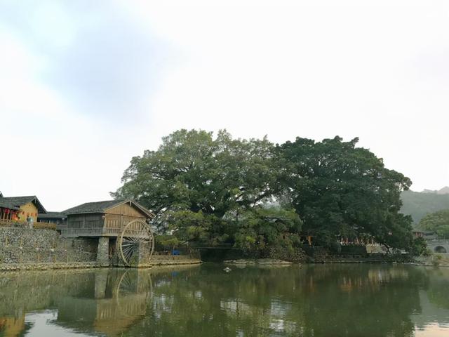 云水谣在哪里，福建土楼田螺坑or云水谣