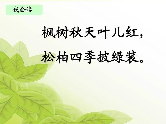 汉字松的组词，松的组词（部编版二年级语文上册识字2《树》知识点+图文解读）