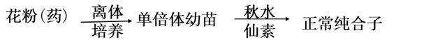 染色体结构变异的四种类型，如何预防染色体错误现象（染色体变异专题详解，学起来）