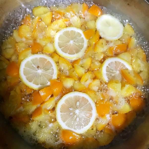 圖片[2]-【金桔膏】做法步驟圖 比感冒藥管用的止咳神器-起舞食譜網