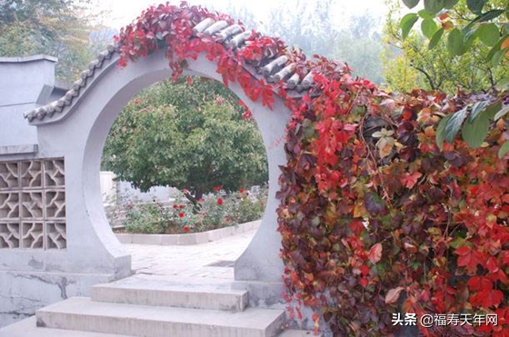 北京十三陵都有哪些陵园，十三陵都有哪些陵园（北京昌平十三陵景区有哪些墓地）