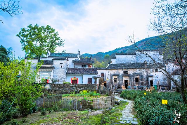 安徽塔川在哪个城市，安徽塔川是哪个县的（来踏青的游客数量让人意外）