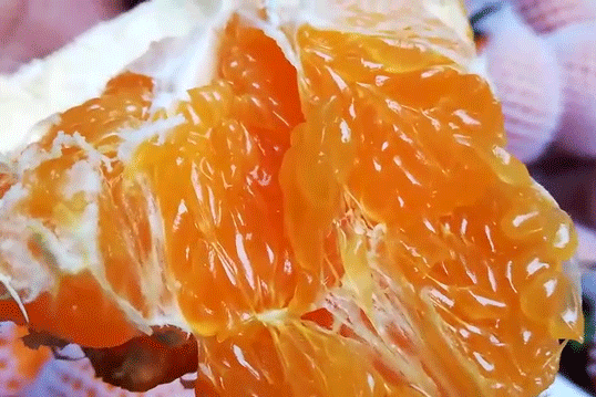 耙耙柑什么人不能吃，耙耙柑不能吃吗（好吃还不上火）