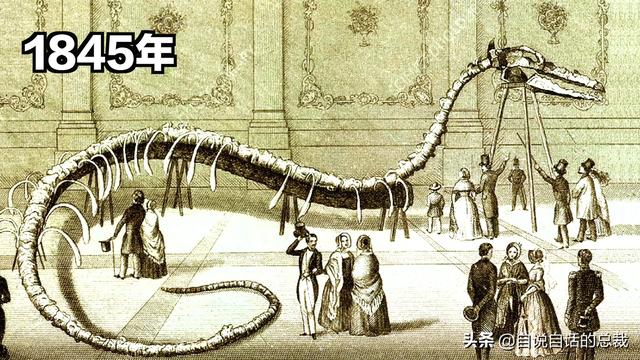 十大怪异鲨鱼，10000米长的蜈蚣（背后隐藏着一个人类起源的故事）