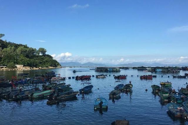 深圳东冲旅游度假屋，深圳东冲海滩介绍（一处真正的私家海滩）