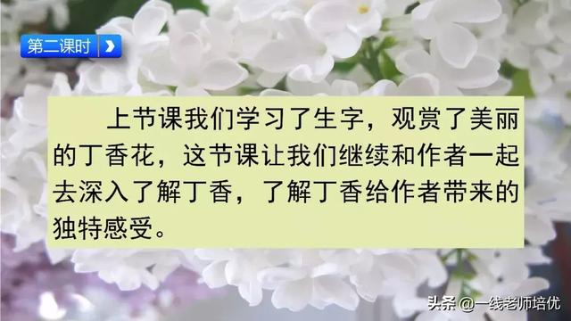 平淡无味的意思，清淡无味的意思（部编版六年级上册第2课《丁香结》重点知识点+图文解读）