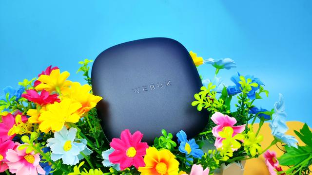 中兴盒子怎么开启投屏，中兴机顶盒怎么连接无线投屏（让你感受不一样观影体验）