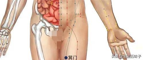 冲门的准确位置及作用，冲门的准确位置及作用图（脾经上重要穴位—舍府穴、冲门穴、箕门）