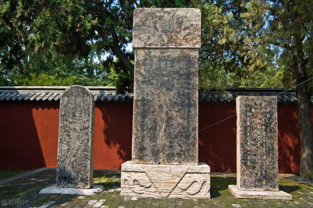 托马斯杨是谁，托马斯杨是第一个研究（一个几乎“全知”的人）